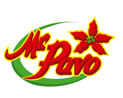 Canvas Logo